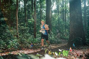 BIB: 
                            <button type="button" onclick="openModal(26076486)" class="btn btn-primary btn-sm float-right btn-popup" data-toggle="modal" data-target=".modal-high-quality">
                        <i class="fas fa-shopping-cart"></i> Add to Cart
                    </button>
                                            <button type="button" onclick="isThisMe(26076486, true)" class="btn btn-success btn-sm float-right btn-popup btn-isme hidden" data-toggle="tooltip" data-placement="bottom" title="นี่คือรูปของคุณใช่ไหม คลิกที่นี่เพื่อเอาเข้าอัลบั้ม">
                        <i class="fas fa-plus"></i> Add to album
                    </button>
                    <button type="button" onclick="isThisMe(26076486, false)" class="btn btn-warning btn-sm float-right btn-popup btn-isnotme hidden">
                        <i class="fas fa-ban"></i> Remove from album
                    </button>